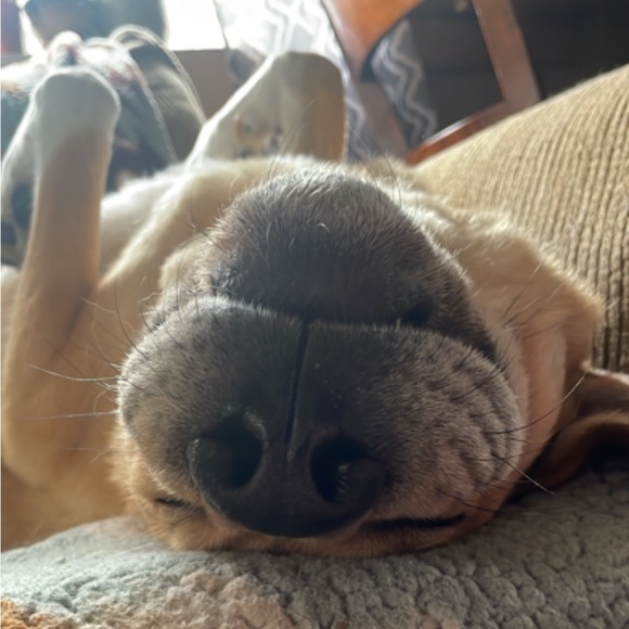 DIABLA IS LIVE!! Prizes and good vibes!! - Picture 5 of 11